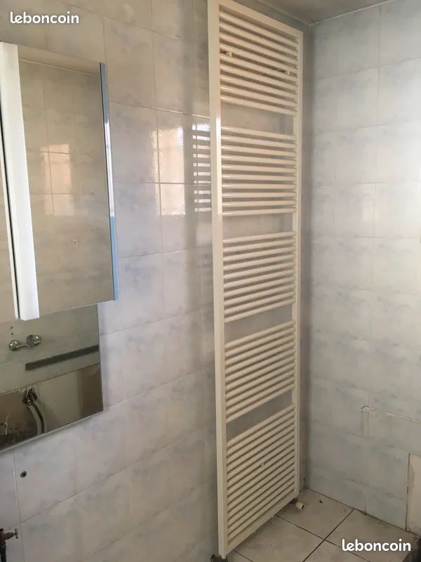 Sèche-serviettes vertical eau chaude H230xL60 (image 1)