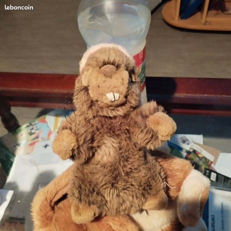 Vend jouet pour chien qui fait un petit son (image 3)
