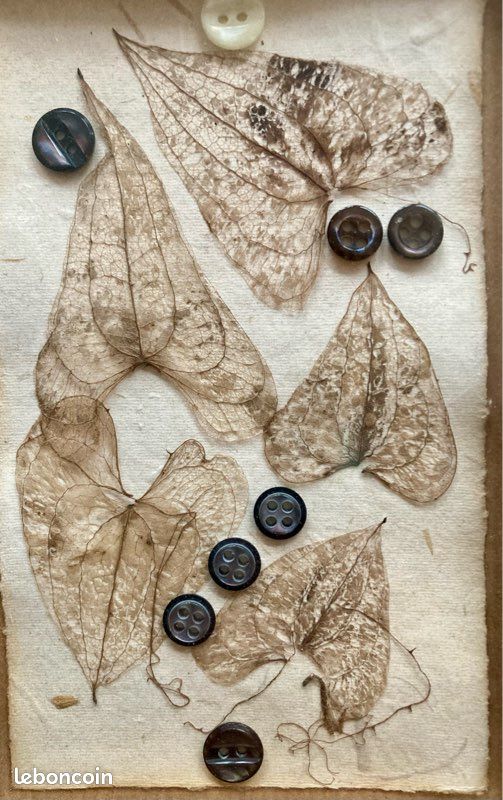 🌱Plutôt nature ou plutôt🧵couture ? Pourquoi pas les 2 avec un quatuor de tableautins, qui s’assortit si bien Mais se vend aussi en duo… (image 7)