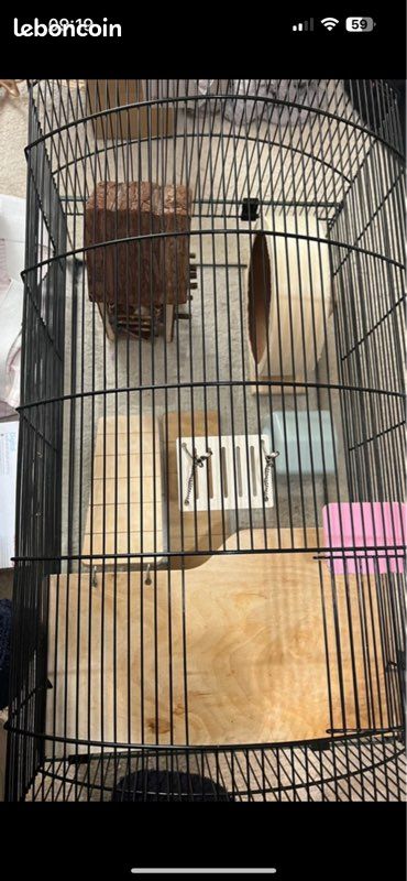Cage hamster (image 1)
