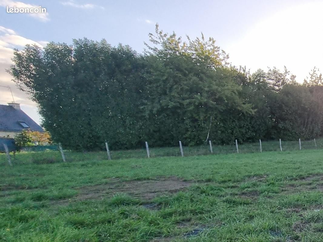 Terrain 395 m² · à Janzé · 75 050 €