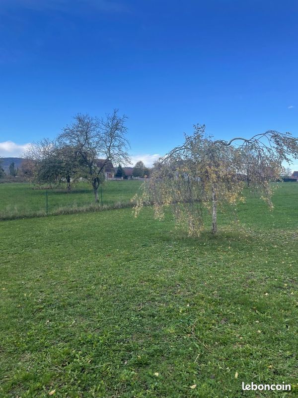 Terrain 577 m² · à Schwenheim · 98 000 €
