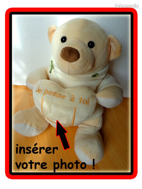 Peluche ourson à personnaliser photo à insérer doudou 35 cm ours (image 1)
