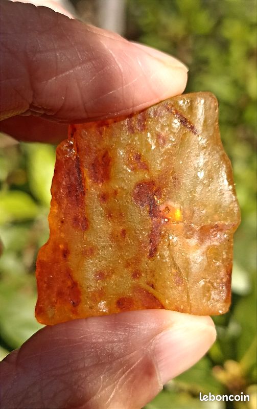 Œuf En Ambre Naturel Baltique Caramel 618,30 Carats - Certifié AGL Non Traité - Pièce Unique