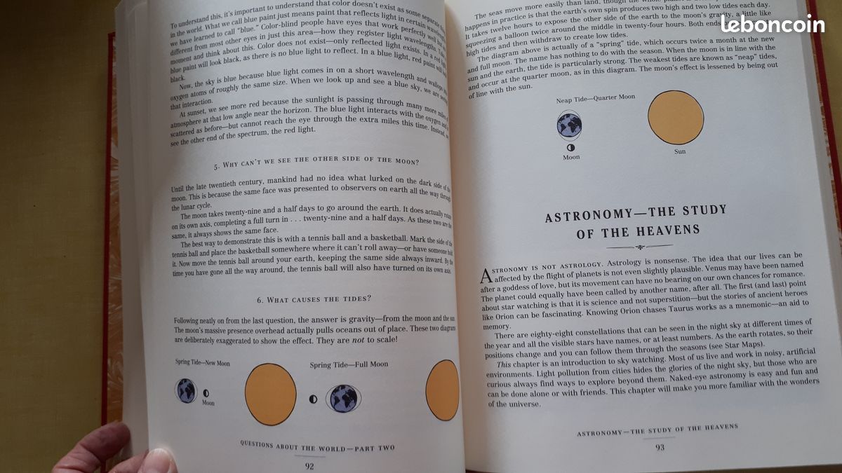 The Dangerous Boys – G. Et I. Lggulden (image 3)