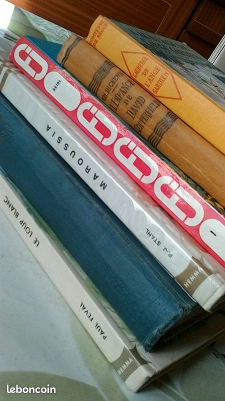 Lot livres anciens (image 5)