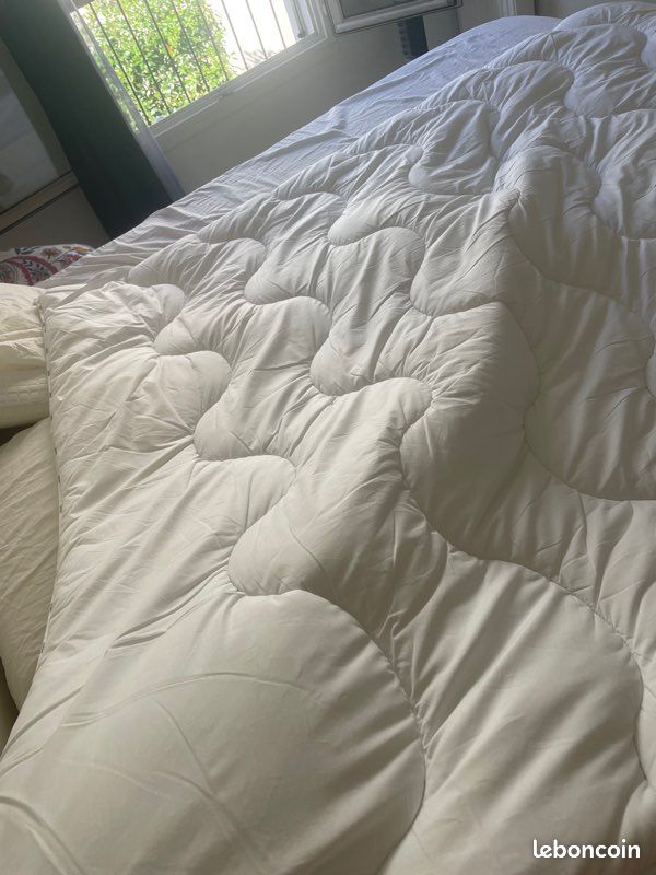 Surmatelas dodo (image 3)
