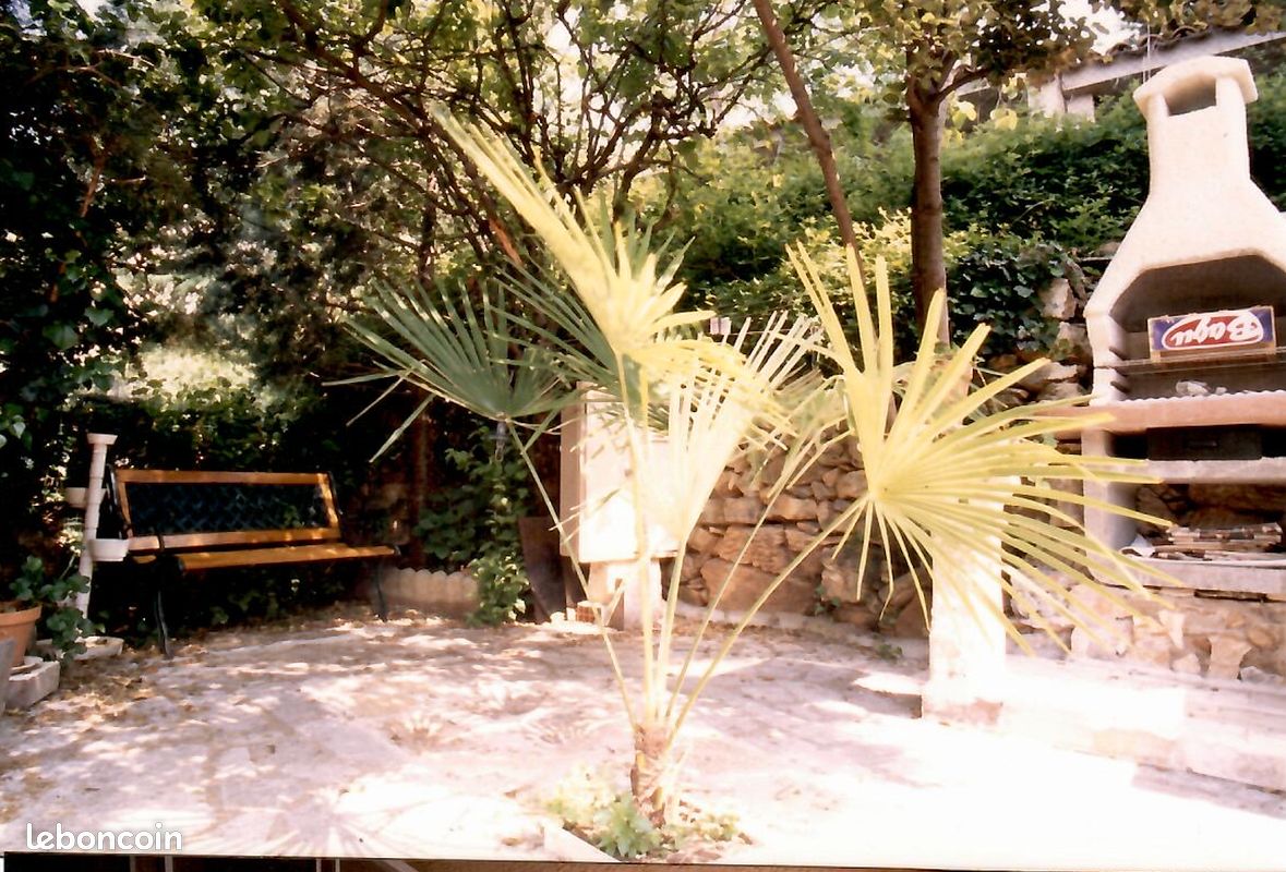 Gîte au pied du Caroux (image 3)