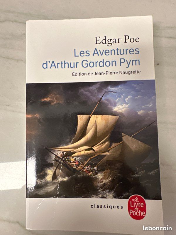 Les Aventures d’Arthur Gordon Pym d’Edgard Poe (image 2)