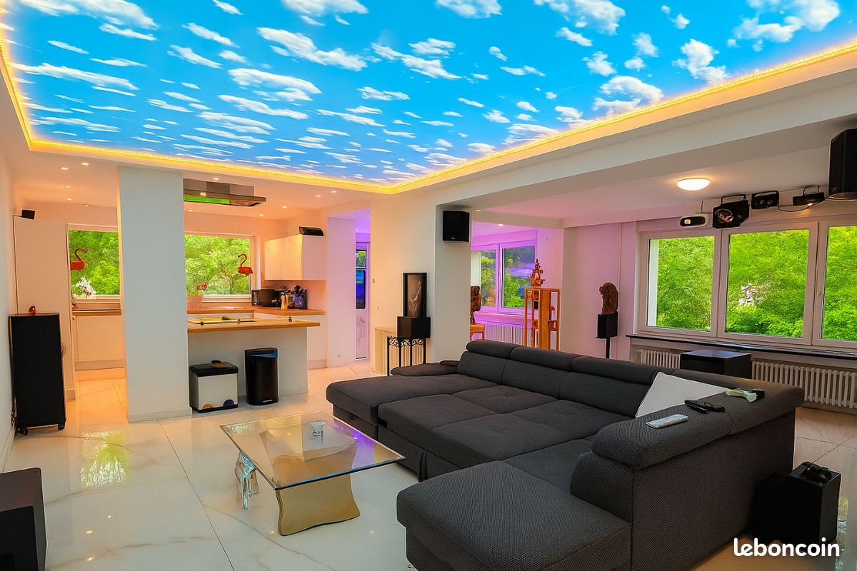 Maison 10 pièces 273 m² · à Sarralbe · 273 m² · 439 000 €