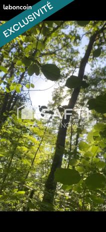 Terrain 7032 m² MORLANNE