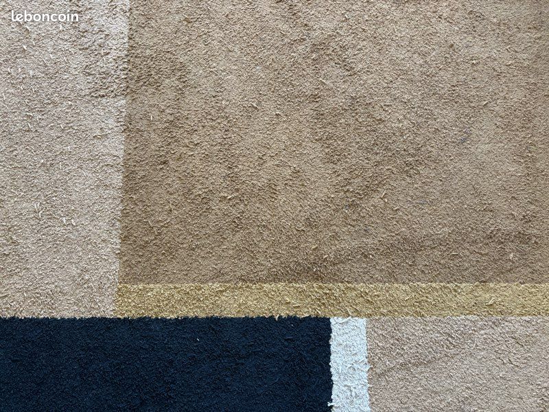 Tapis IKEA salon 170x240 (image 3)