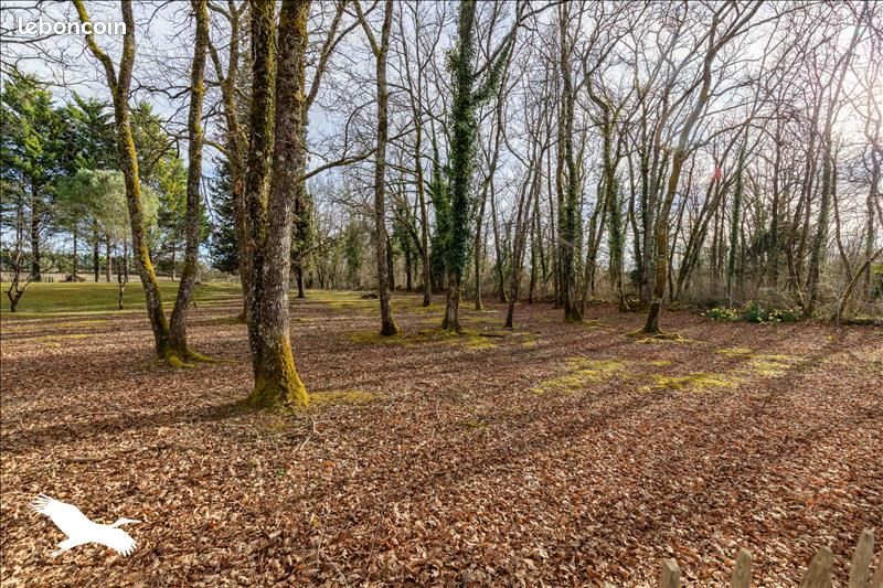 Propriété 4 pièces 110 m² (image 3)