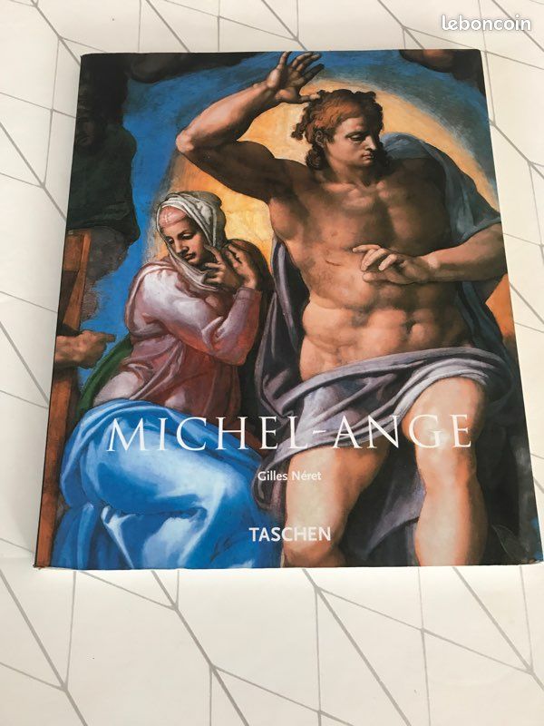 Livres Michel-Ange (image 2)