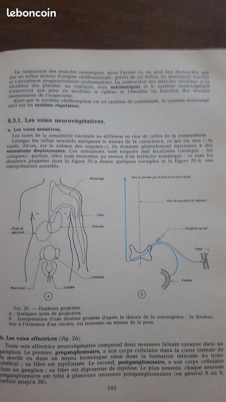 Le corps humain de Pierre Vincent (image 3)