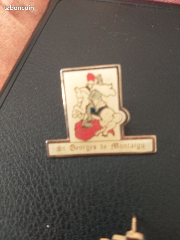 Pins rare (image 2)