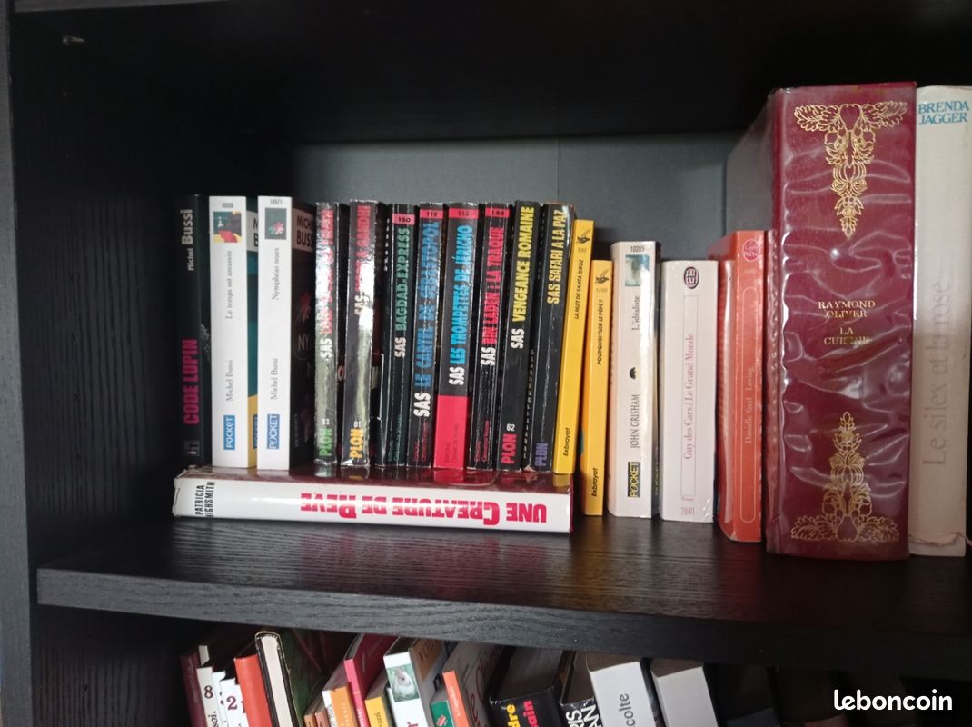 Livres plusieurs genres (image 8)