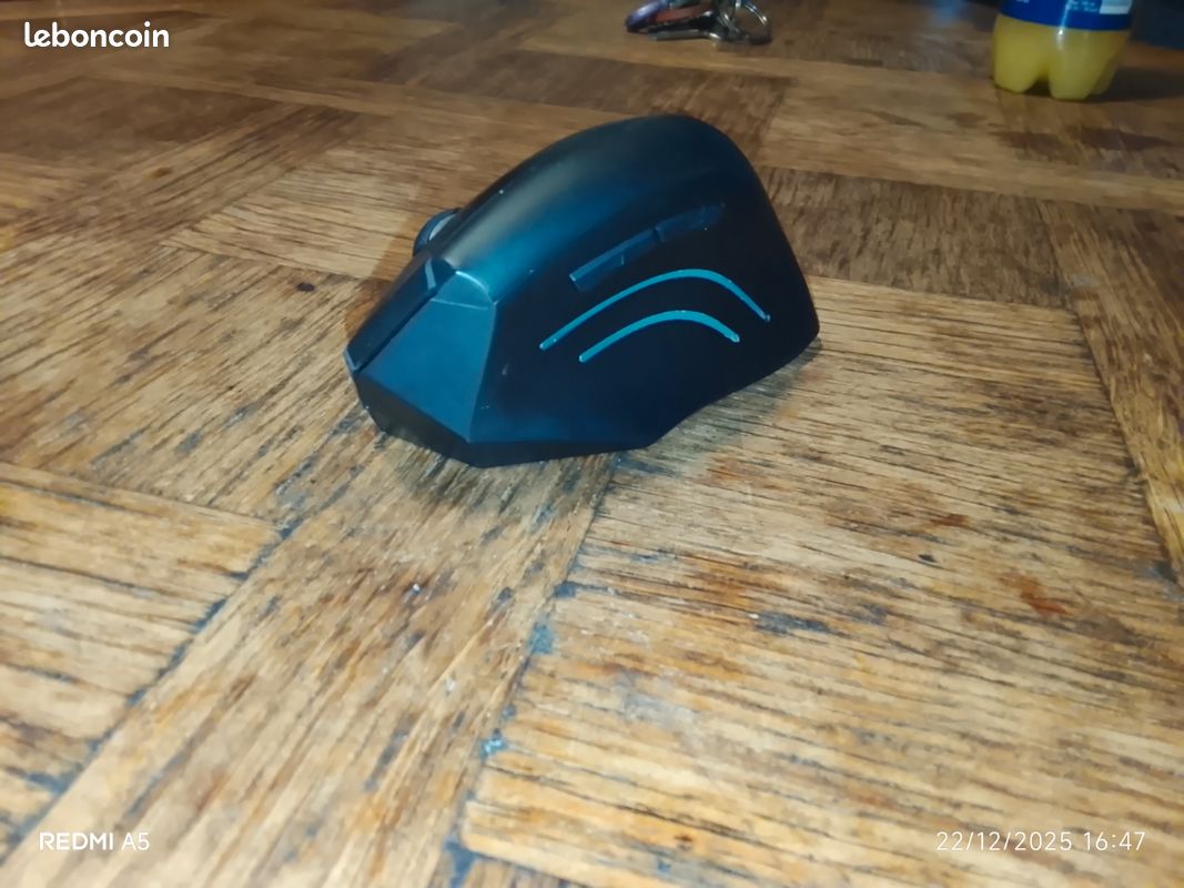 Souris sans fil ergonomique (image 2)