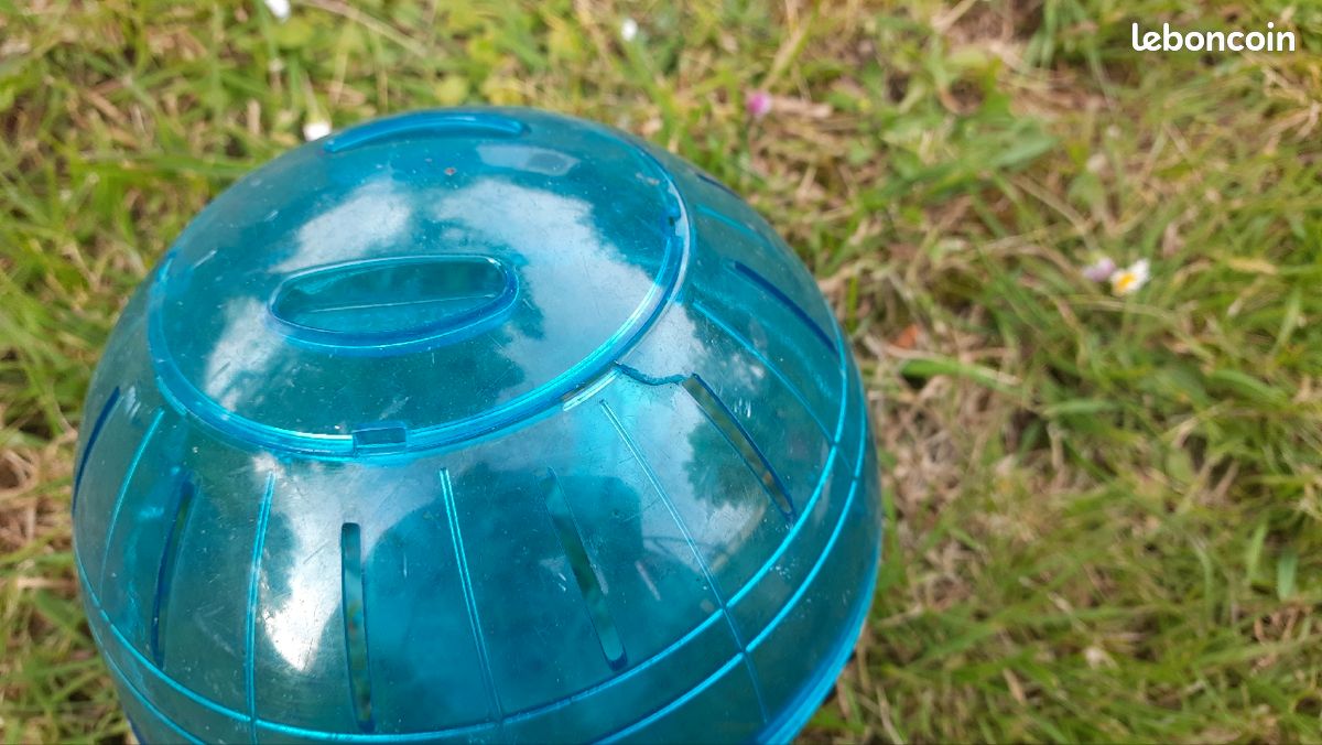 Boule pour hamster (image 2)
