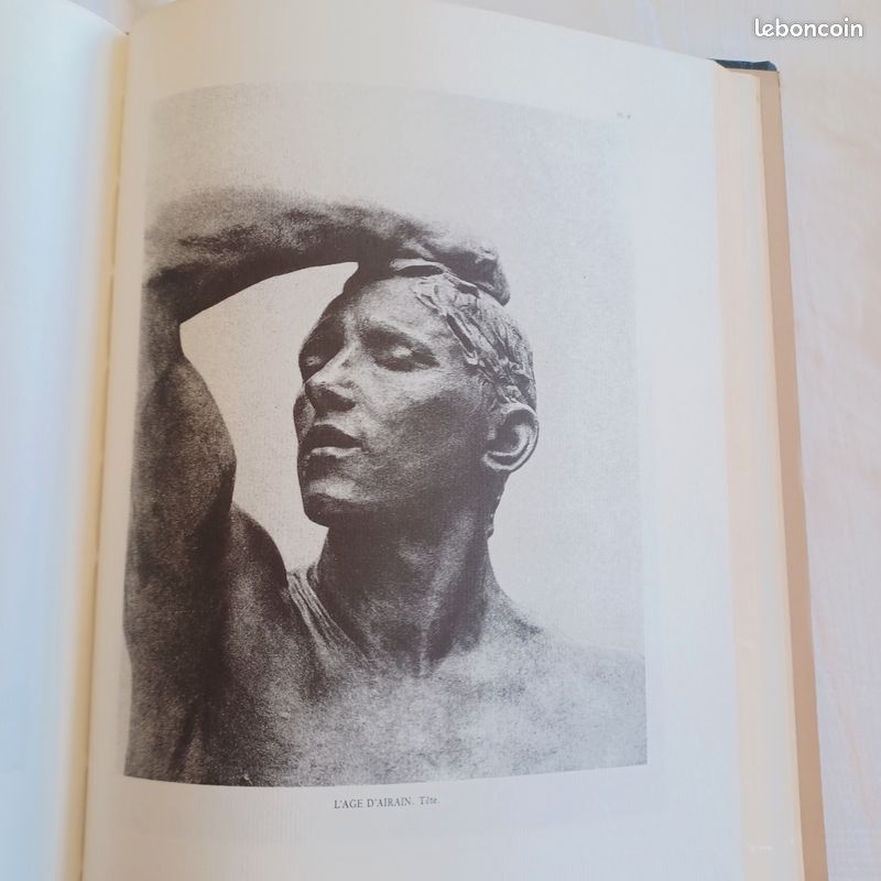 1 livre d'art de Rodin LES CATHÉDRALES DE FRANCE edts j de Bonnot (image 14)