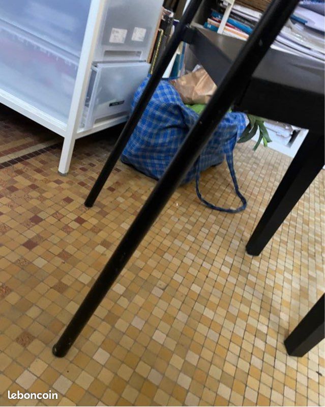 Paire de chaises Dr Glob Philippe Starck (image 8)