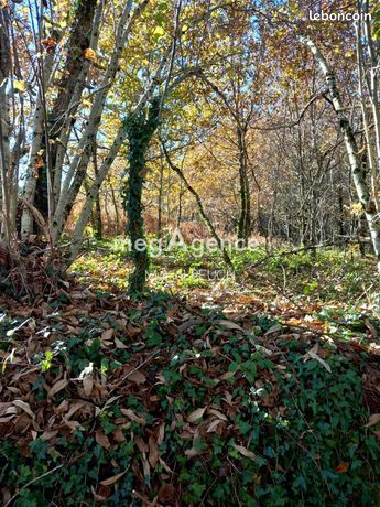 Terrain 3064 m² LE CHASTANG