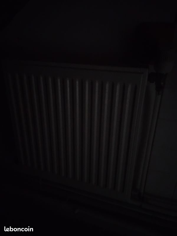 Chauffage fonte (image 2)