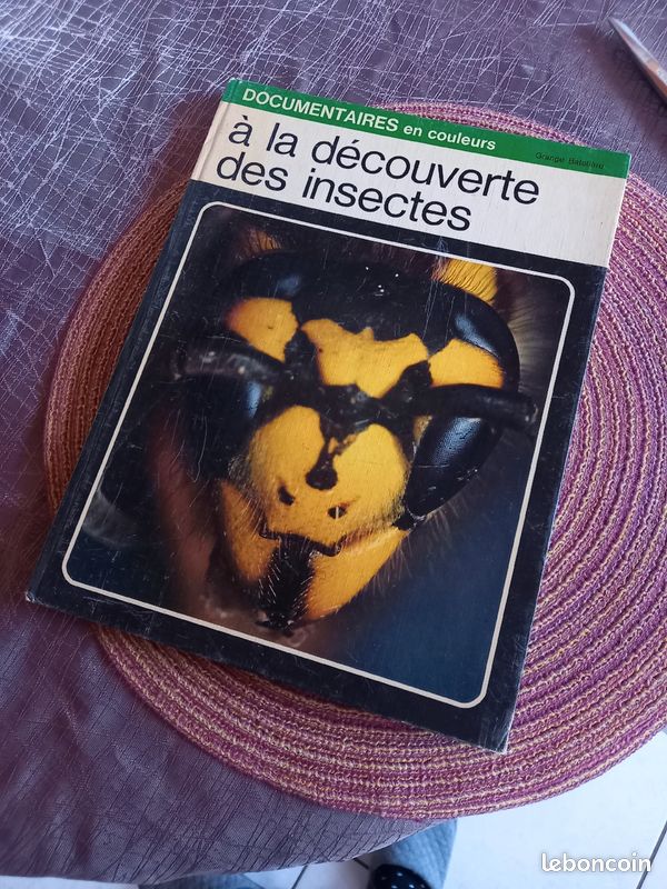 Livre documentaire sur les insectes (image 1)