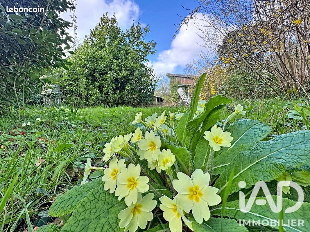Maison 1 pièce 65 m² · à Combrit · 65 m² · 139 700 €