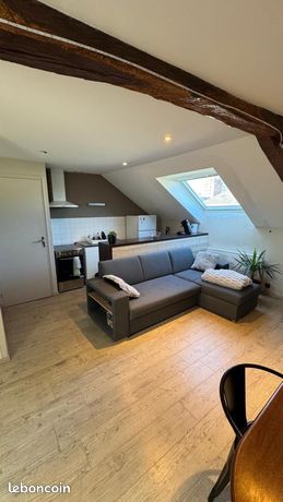 Apparemment 50 m2 gare et centre ville