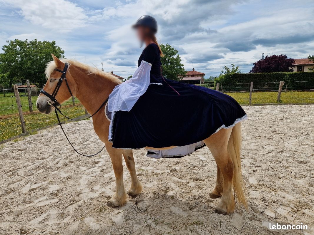 Robe Cheval Galop Galop Robe Louvet Cheval Couleur Discount Robe