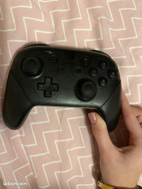 Manette pro switch (image 2)