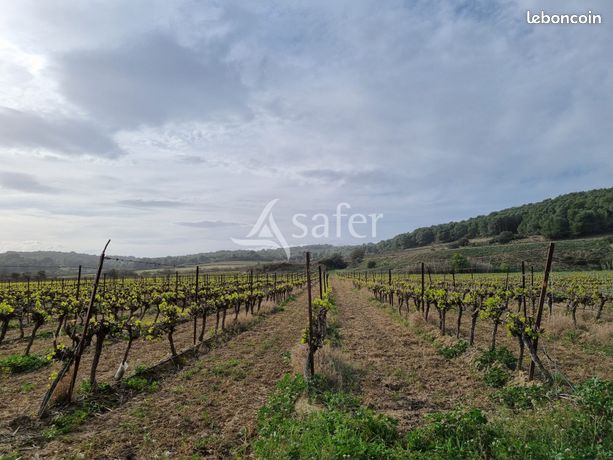 Terrain 177441 m² Béziers