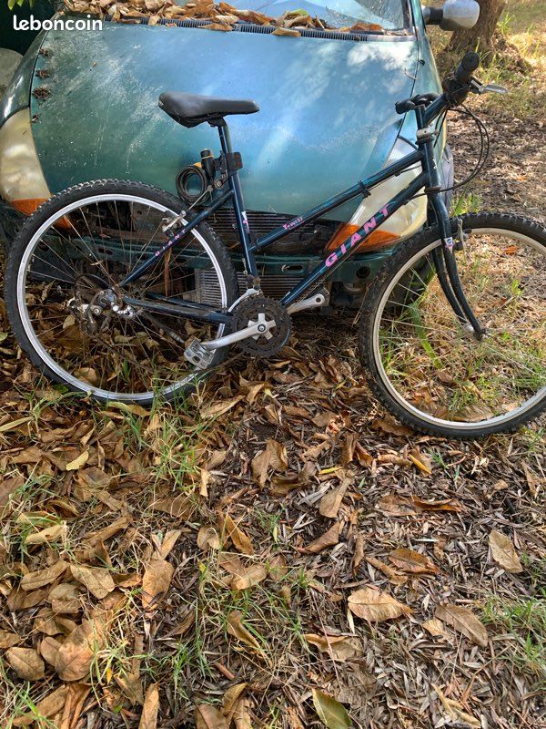 Vélo d adulte Vélos