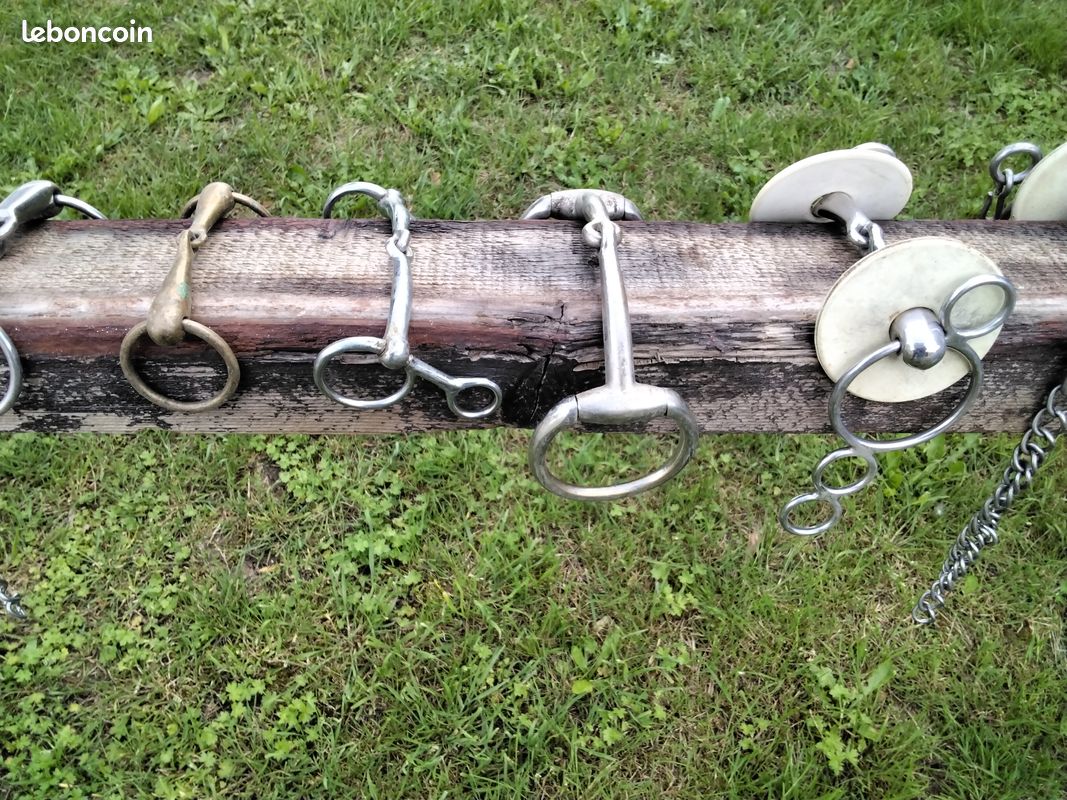 Mors divers (image 2)