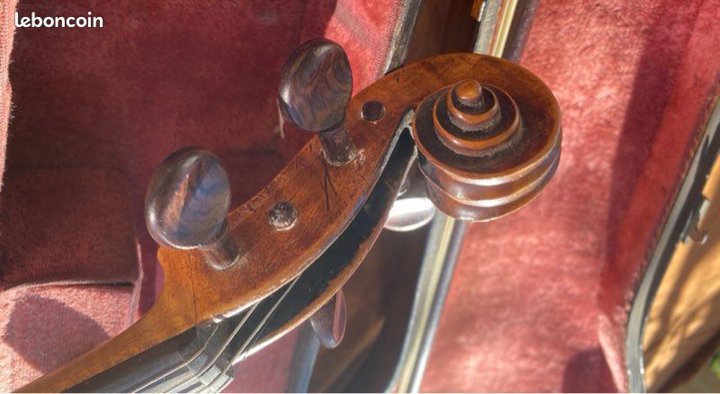 Violon adulte début XXe (image 7)