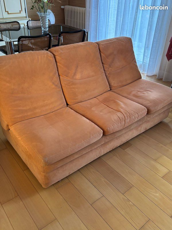 Lot de deux canapés Roche et Bobois (image 3)