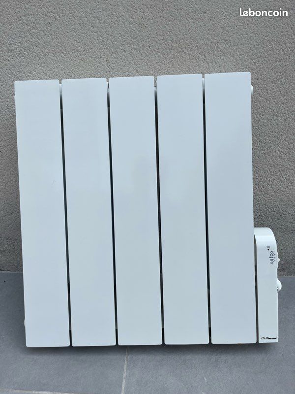 Radiateurs électriques Thermor 1000 W – IP24 (image 1)