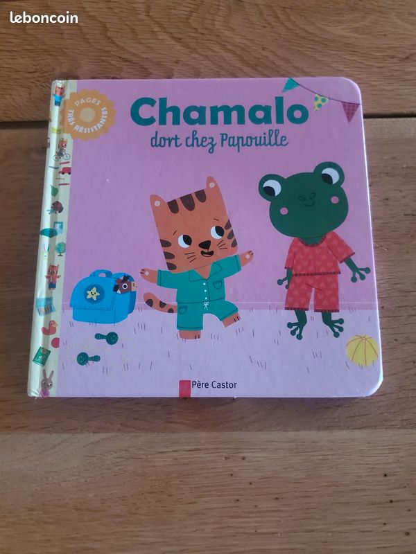 Livre petit enfant Chamalo dort chez Papouille Père Castor (image 1)