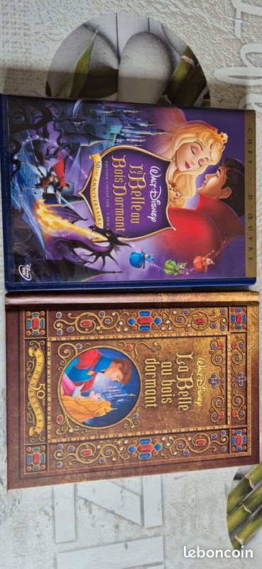 Coffret La belle au bois dormant Dvd et livre (image 1)