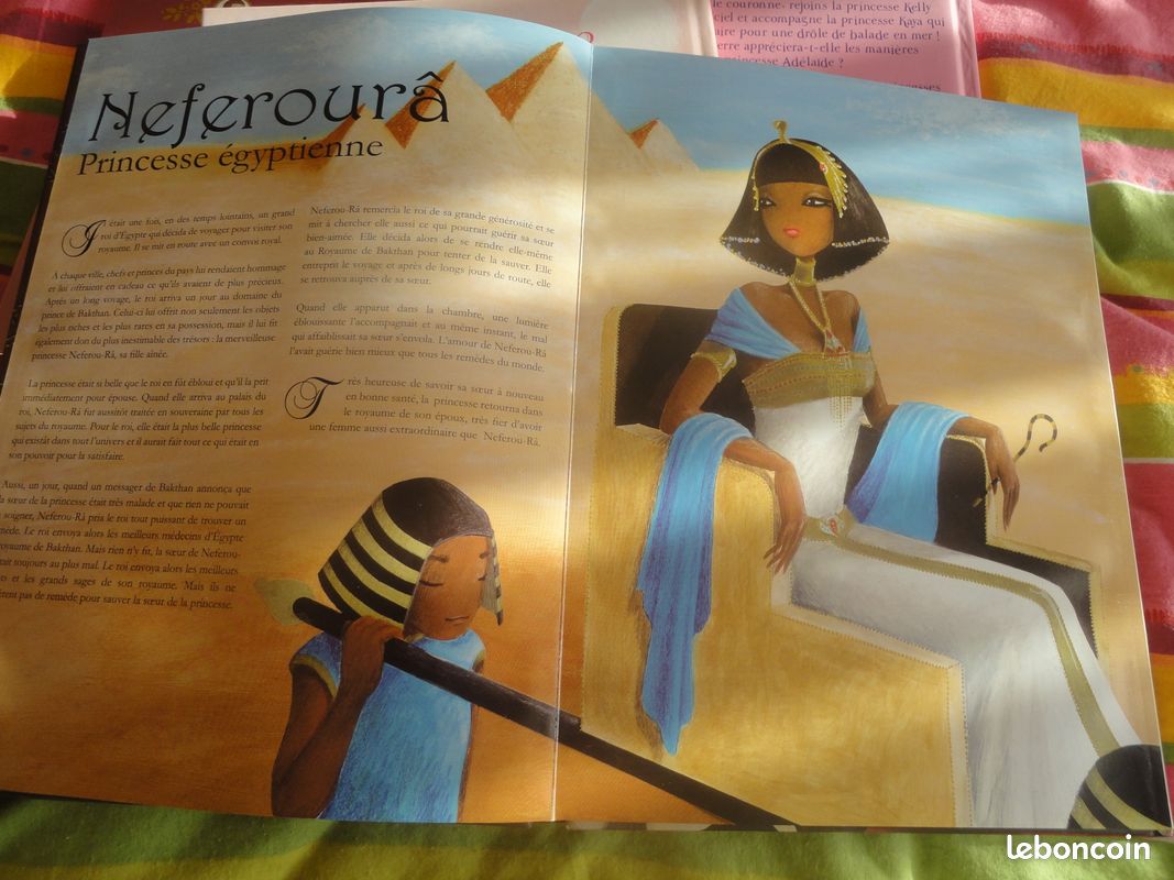 Livre Princesses du Monde (neuf) (image 2)