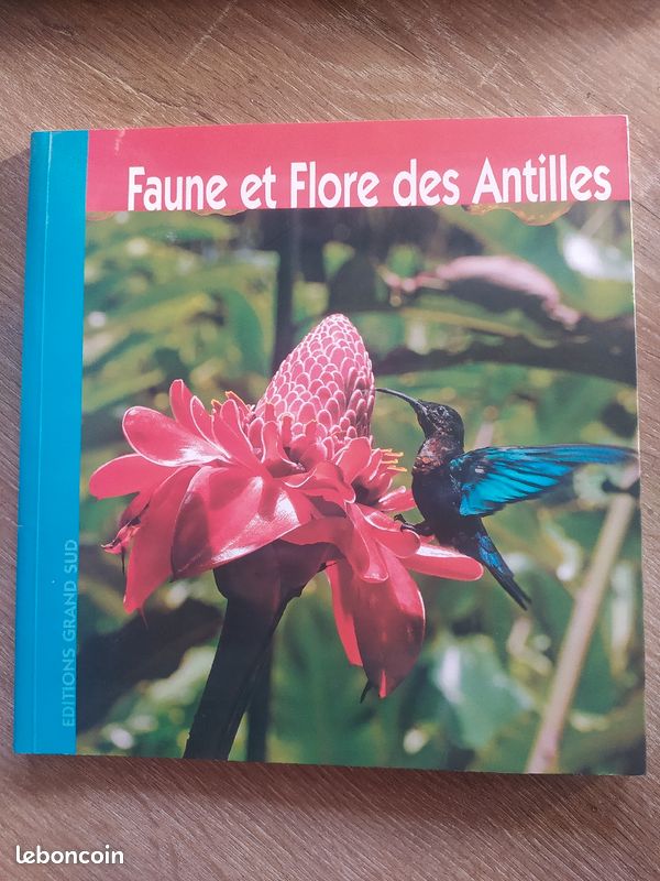 Faune et flore des Antilles (image 2)