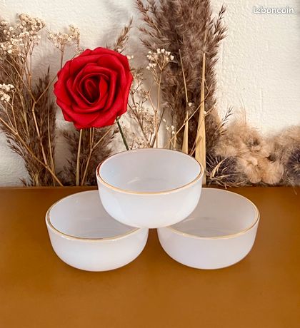BOL ARCOPAL MODÈLE Scania, Fleurs Oranges Et Roses,vaisselle Vintage
