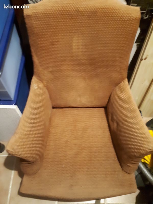 Trés beau fauteuil napoléon III (image 1)