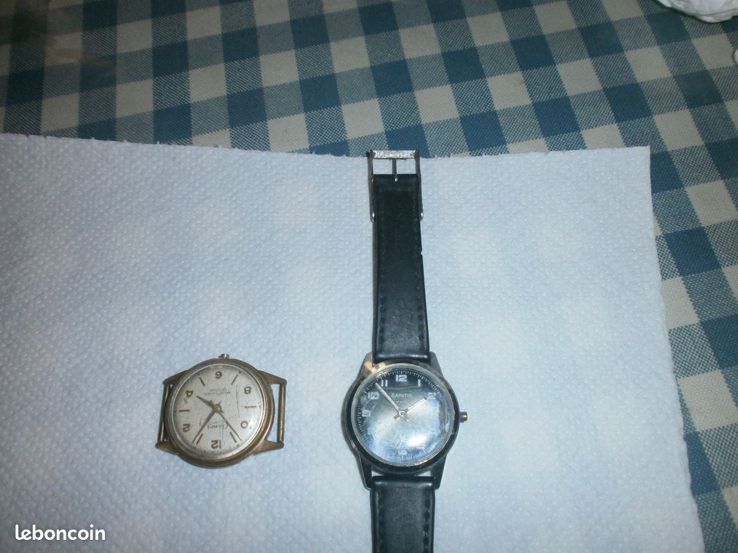Montres mécaniques SAINTIS & CERNOS (image 1)