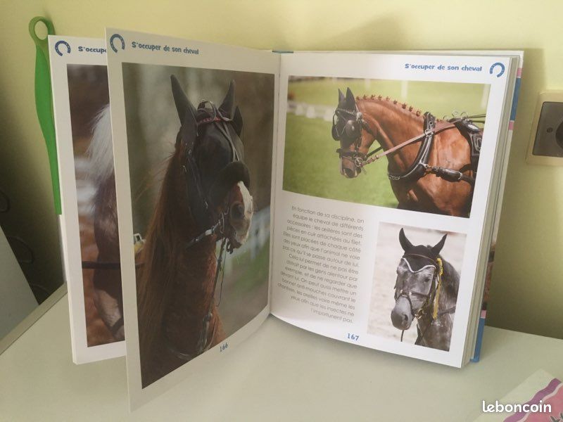 Livre sur les chevaux et poneys (image 5)