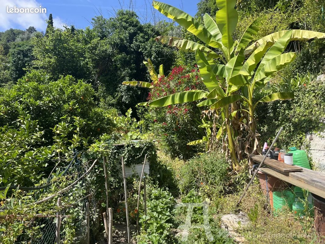Maison 5 pièces 70 m² · à Sainte-Agnès · 70 m² · 330 000 €