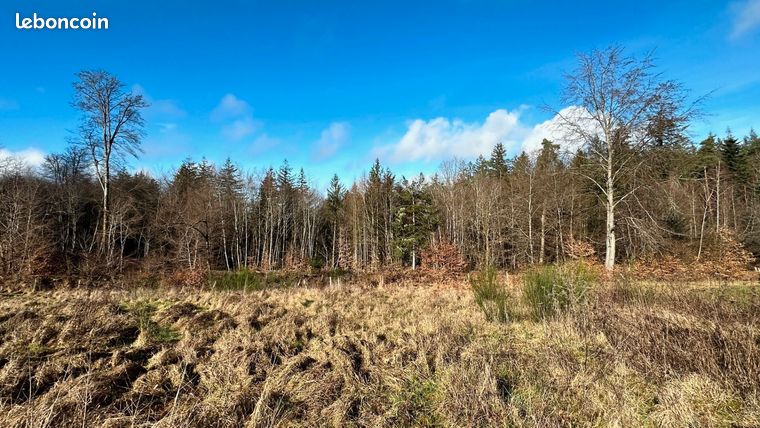Terrain 867 m² CHANTRAINE