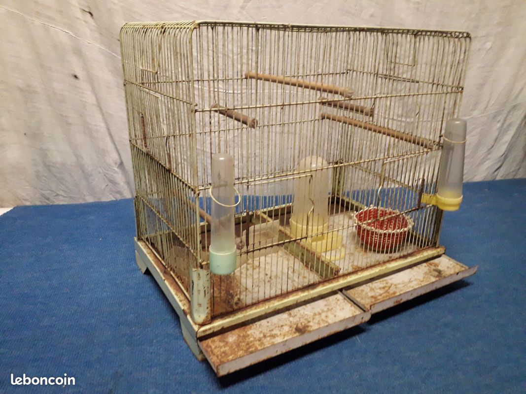 Cage à oiseaux dans son jus (image 4)
