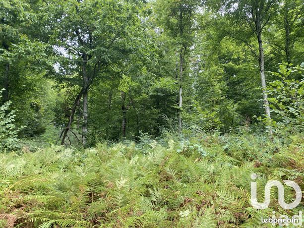 Terrain 10388 m² BONNEFONT
